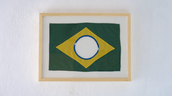 The New Brazilian Flag #2