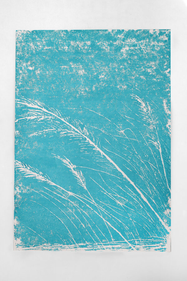 Vento - Imagem 3